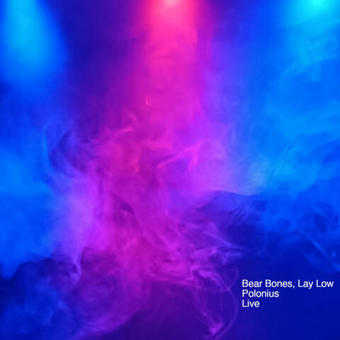 Bear Bones, Lay Low