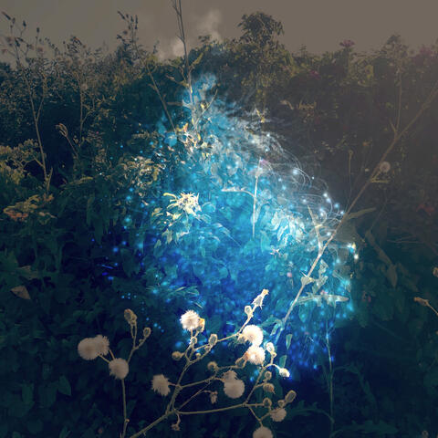 Unrosive