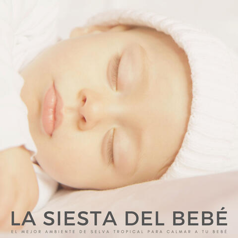 La Siesta Del Bebé: El Mejor Ambiente De Selva Tropical Para Calmar A Tu Bebé