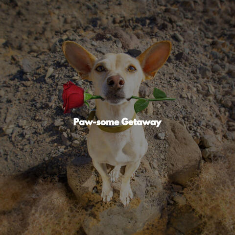 Paw-some Getaway