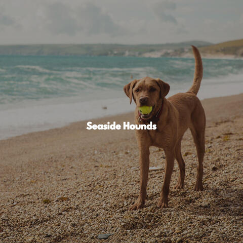 Seaside Hounds