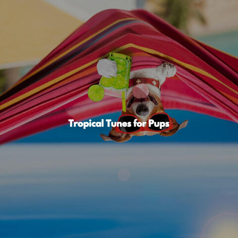 Tropical Tunes for Pups
