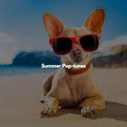 Sunny Music for Colorful Days
