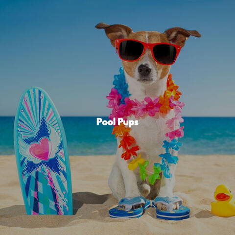 Pool Pups
