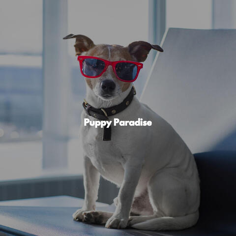 Puppy Paradise