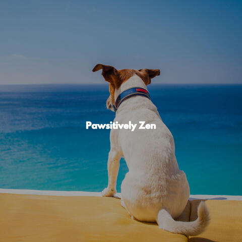 Pawsitively Zen
