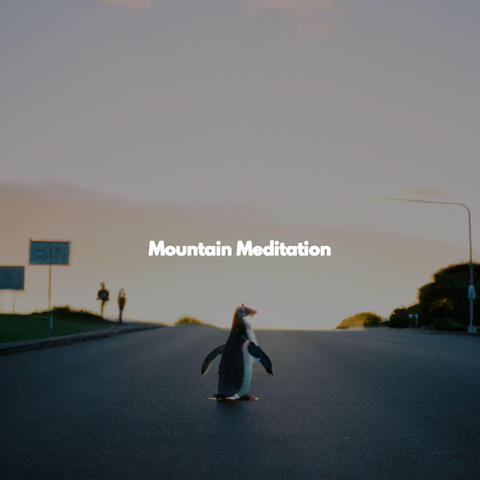 Mountain Meditation