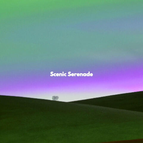 Scenic Serenade