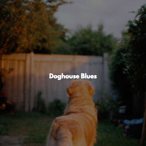 Doghouse Blues