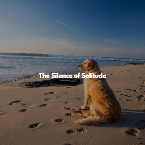 The Silence of Solitude