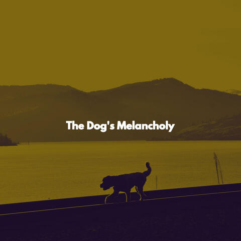 The Dog's Melancholy