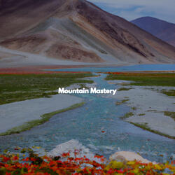Smooth Moods for Uplifting Journeys