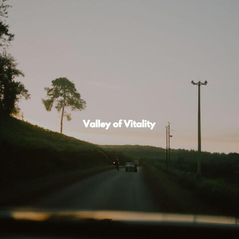 Valley of Vitality