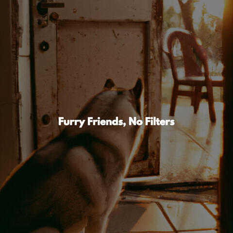 Furry Friends, No Filters