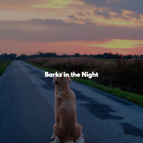 Barks in the Night