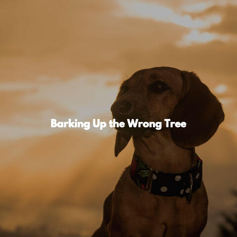 Barking Up the Wrong Tree