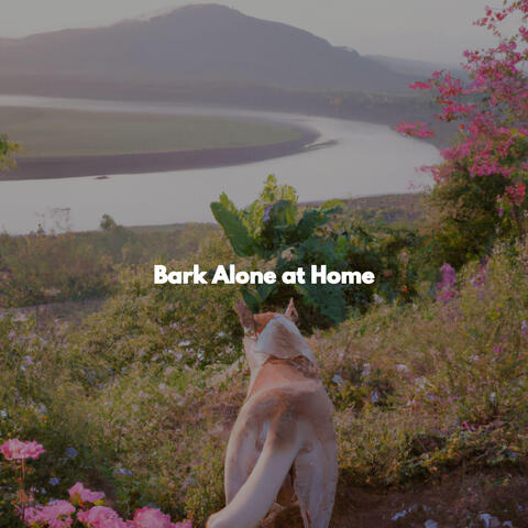 Bark Alone at Home