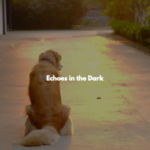 Echoes in the Dark