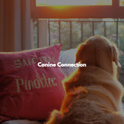 Sumptuous Moods for Happy Studying