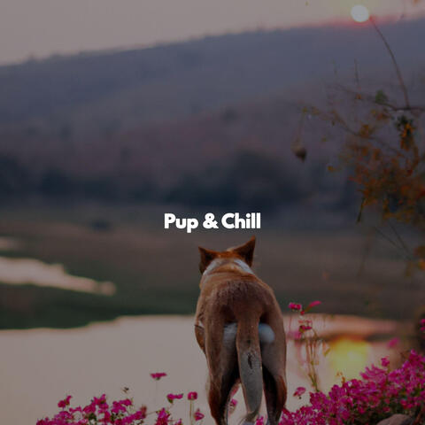 Pup & Chill