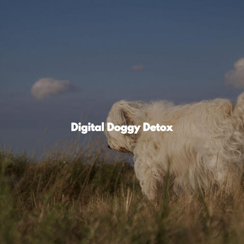 Digital Doggy Detox