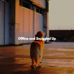 Dream-Like Ambience for Making Changes