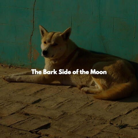 The Bark Side of the Moon