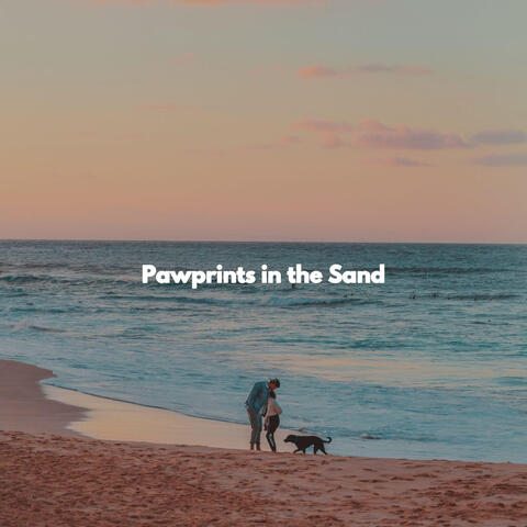 Pawprints in the Sand