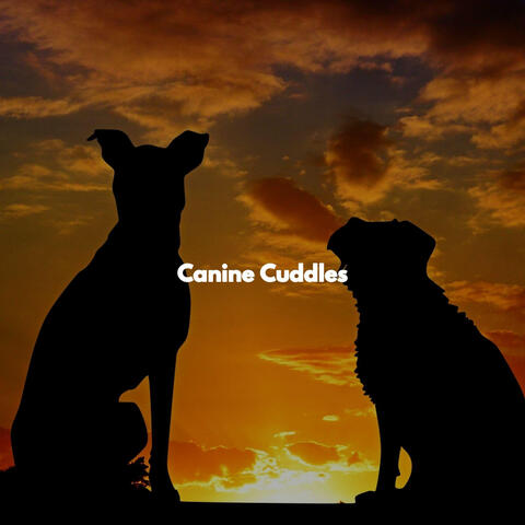 Canine Cuddles
