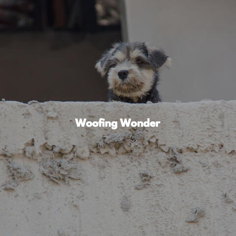 Woofing Wonder
