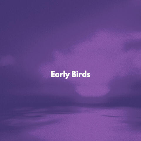 Early Birds