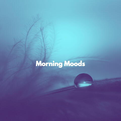 Morning Moods