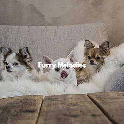 Background for Dog Cafes
