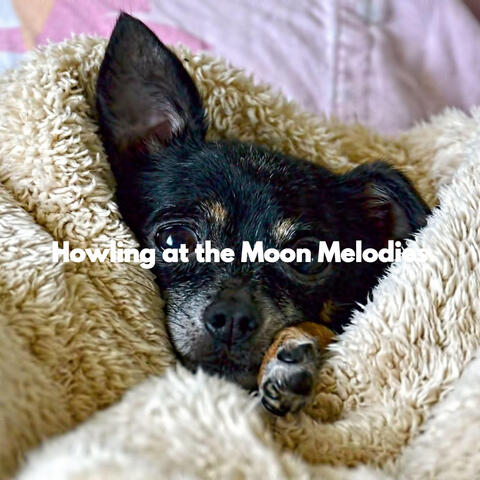 Howling at the Moon Melodies