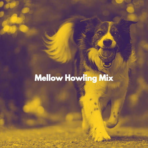 Mellow Howling Mix