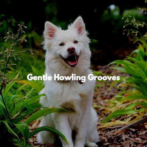 Gentle Howling Grooves