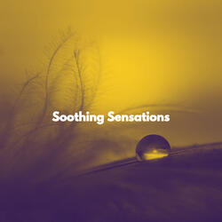Pulsating Moods for Afternoon Kick Backs