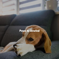 Fashionable Serious Levels