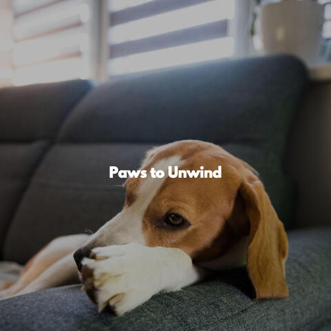 Paws to Unwind