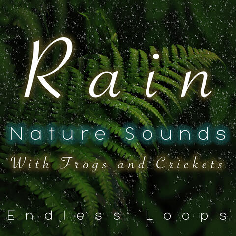 Rain Nature Sounds With Frogs and Crickets