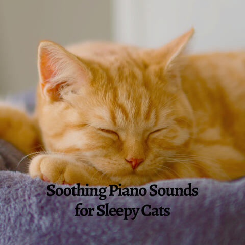 Soothing Piano Sounds for Sleepy Cats