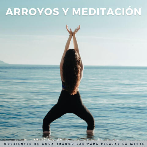 Arroyos Y Meditación: Corrientes De Agua Tranquilas Para Relajar La Mente