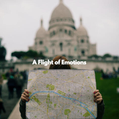 A Flight of Emotions