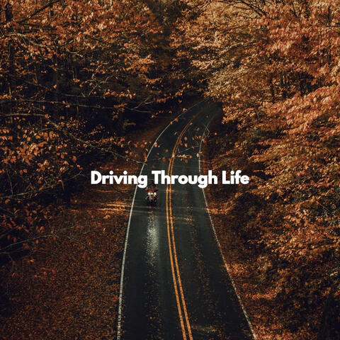 Driving Through Life