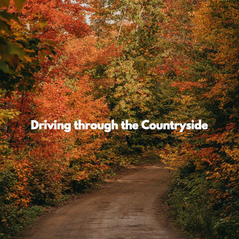 Driving through the Countryside