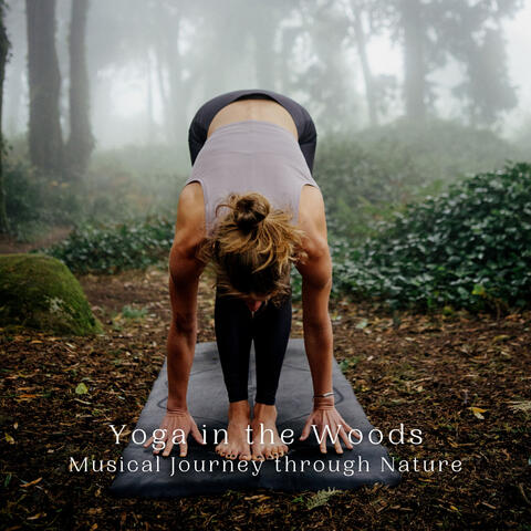 Yoga in the Woods: Musical Journey through Nature