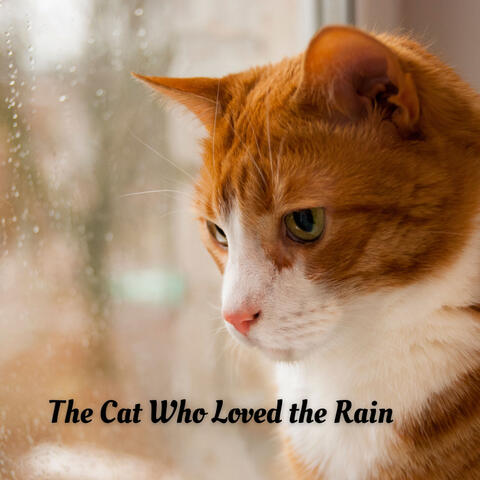 The Cat Who Loved the Rain
