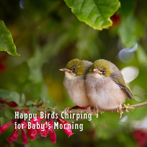 Happy Birds Chirping for Baby's Morning