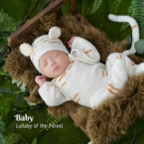 Baby: Lullaby of the Forest