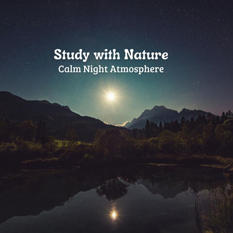 Study with Nature: Calm Night Atmosphere
